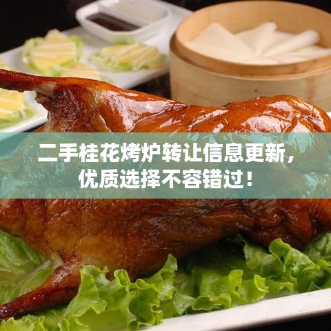 二手桂花烤炉转让信息更新，优质选择不容错过！