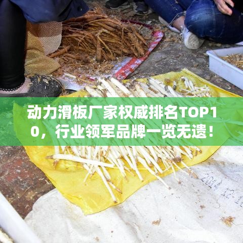 动力滑板厂家权威排名TOP10，行业领军品牌一览无遗！