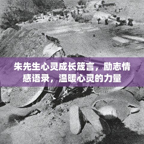 朱先生心灵成长箴言，励志情感语录，温暖心灵的力量