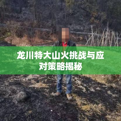 龙川特大山火挑战与应对策略揭秘