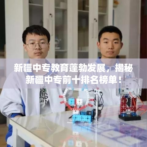 新疆中专教育蓬勃发展，揭秘新疆中专前十排名榜单！