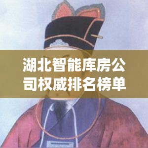 湖北智能库房公司权威排名榜单揭晓！