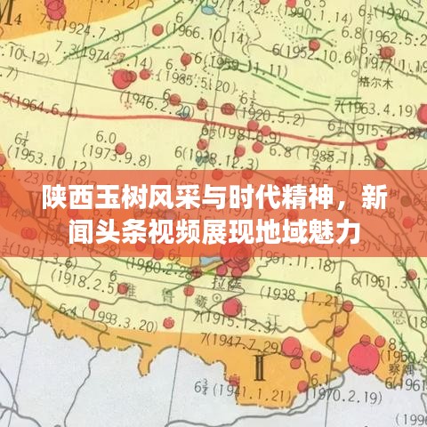 陕西玉树风采与时代精神，新闻头条视频展现地域魅力