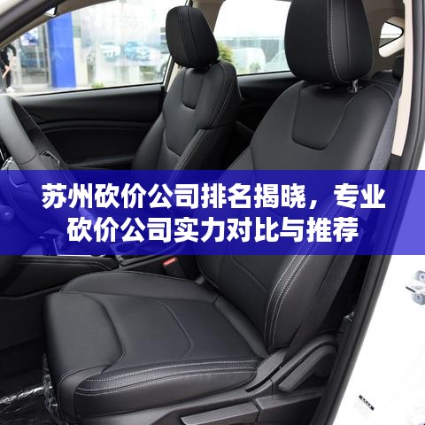 苏州砍价公司排名揭晓，专业砍价公司实力对比与推荐