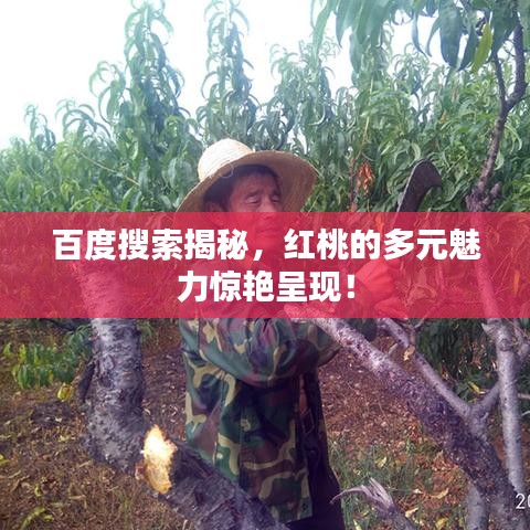 百度搜索揭秘，红桃的多元魅力惊艳呈现！