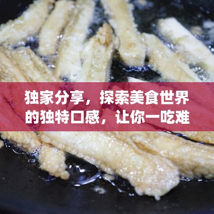 独家分享，探索美食世界的独特口感，让你一吃难忘！