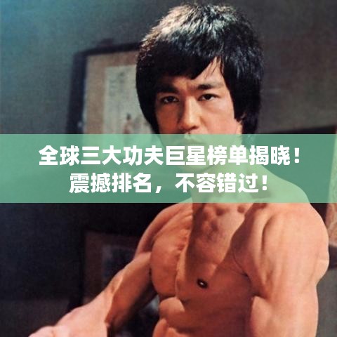 全球三大功夫巨星榜单揭晓！震撼排名，不容错过！