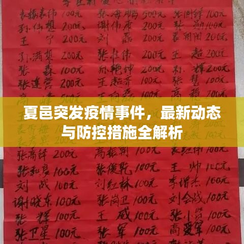 夏邑突发疫情事件，最新动态与防控措施全解析