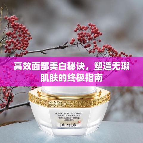 高效面部美白秘诀，塑造无瑕肌肤的终极指南