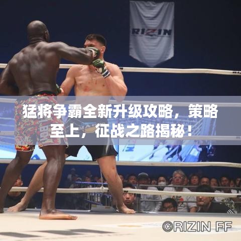 猛将争霸全新升级攻略，策略至上，征战之路揭秘！