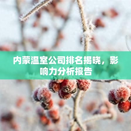 内蒙温室公司排名揭晓，影响力分析报告