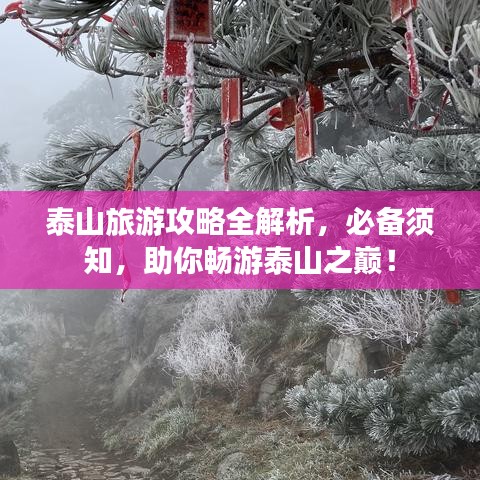 泰山旅游攻略全解析，必备须知，助你畅游泰山之巅！