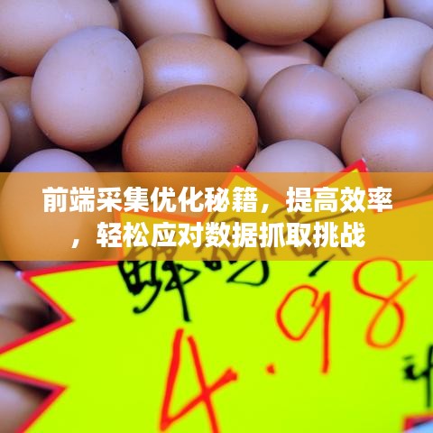 前端采集优化秘籍，提高效率，轻松应对数据抓取挑战
