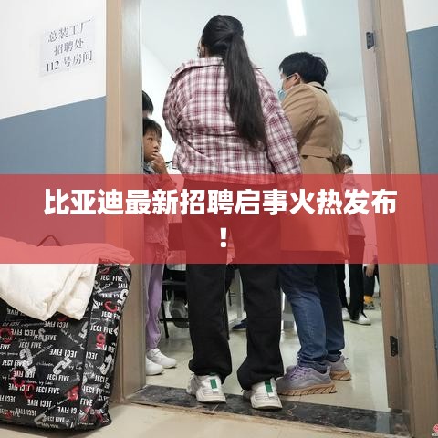 比亚迪最新招聘启事火热发布！