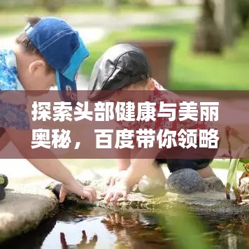 探索头部健康与美丽奥秘，百度带你领略新知