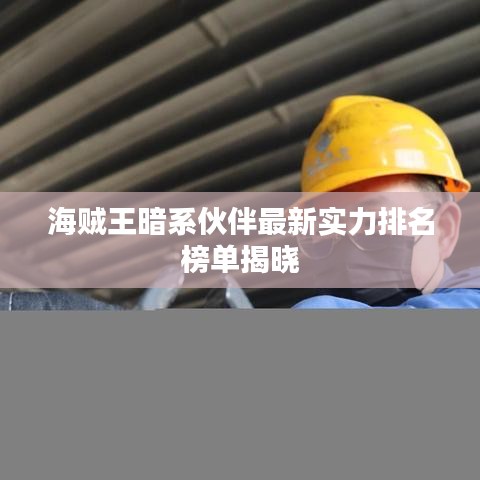 海贼王暗系伙伴最新实力排名榜单揭晓