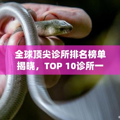 全球顶尖诊所排名榜单揭晓，TOP 10诊所一览无余！