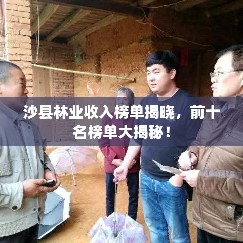 沙县林业收入榜单揭晓，前十名榜单大揭秘！