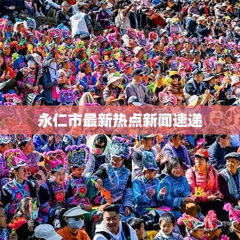永仁市最新热点新闻速递