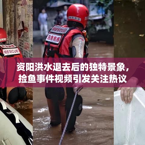 资阳洪水退去后的独特景象，捡鱼事件视频引发关注热议