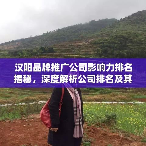汉阳品牌推广公司影响力排名揭秘，深度解析公司排名及其影响力
