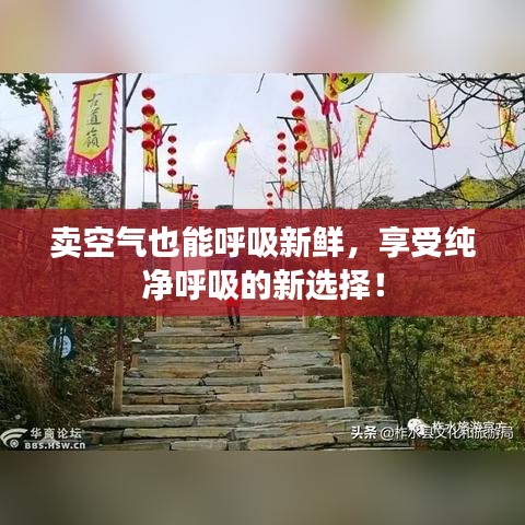 卖空气也能呼吸新鲜，享受纯净呼吸的新选择！