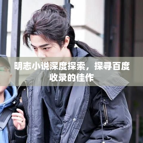 明志小说深度探索，探寻百度收录的佳作
