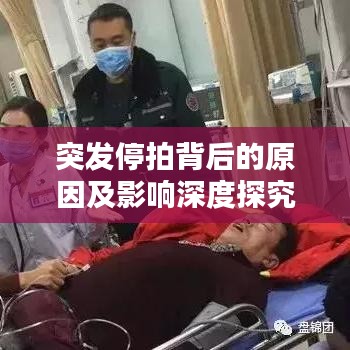 突发停拍背后的原因及影响深度探究