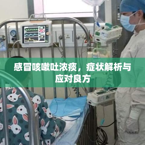 感冒咳嗽吐浓痰，症状解析与应对良方